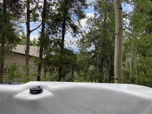 4WD Cabin in the Clouds with Hot Tub cabin in Nederland, USA