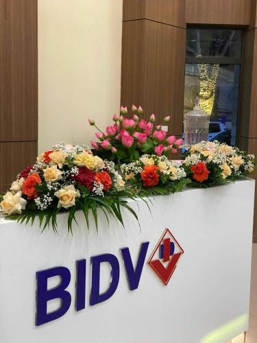 BIDV HOTEL CỬA LÒ