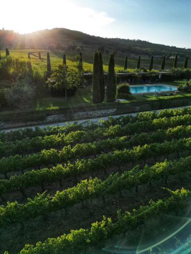 Viticcio, Greve in Chianti (fotografie 9)