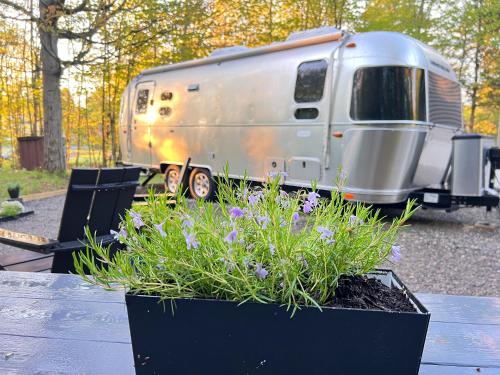 . Glamping Guesthouse - Airstream Experience