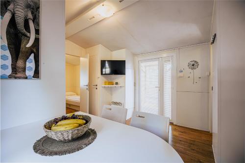 Mobile Homes with Thermal Riviera Tickets in Terme Čatež - image 10