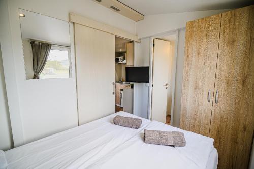 Mobile Homes with Thermal Riviera Tickets in Terme Čatež - image 11