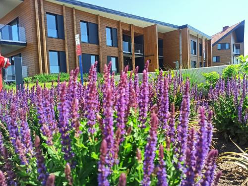 P R A T U M 17 Apartament z widokiem na jezioro