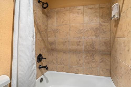 One-Bedroom Apartment image 10