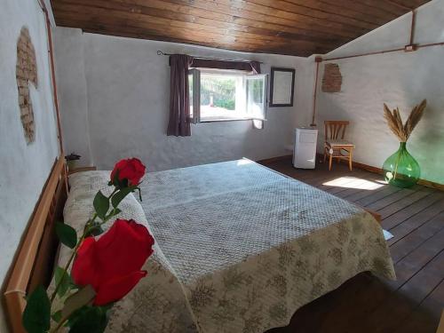 Casa Villamarini gîte à louer Monteponi