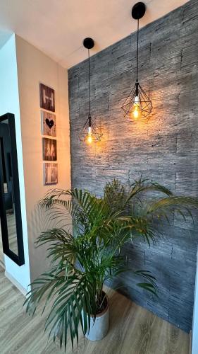 Evelin's apartment, Budapešť (fotografie 4)