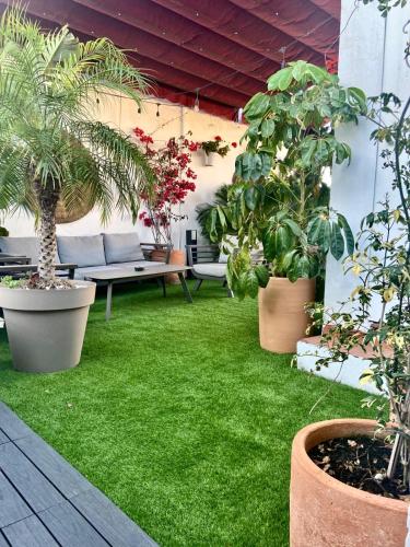Ático Suite con terraza totalmente privada en pleno centro histórico de Sevilla, Sevilla (Foto 8)