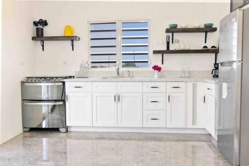 Konyha, Thrush Nest View Studio Apartment in Anguilla