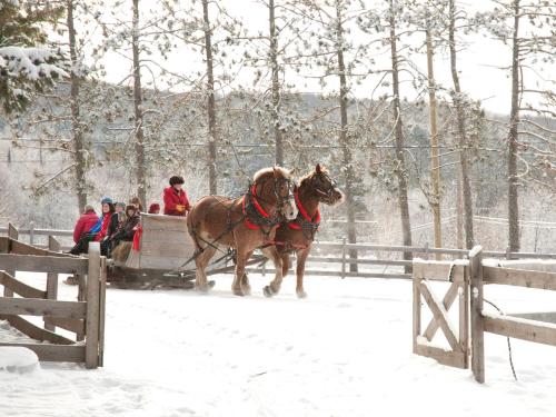 Deerhurst Resort