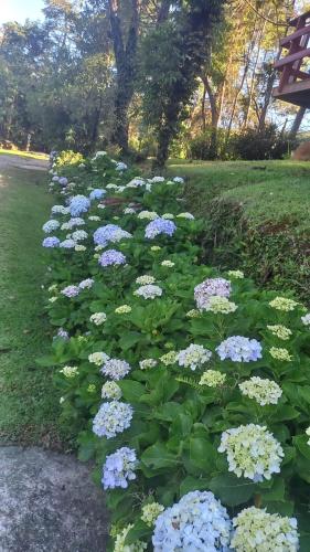Refúgio dos Platanus