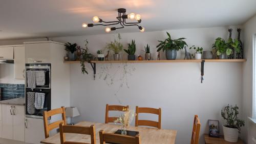 Kitchen, Chy Lowen Private rooms with kitchen, dining room and garden access close to Eden Project & beaches in Saint Blazey