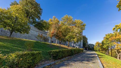 Castle Vista Getaway, Free Parking, Bratislava (fotografie 5)