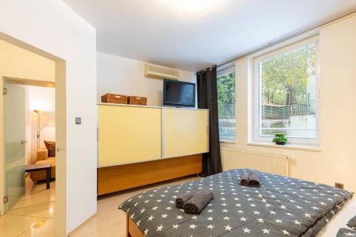 Castle Vista Getaway, Free Parking, Bratislava (fotografie 6)