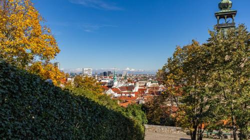 Castle Vista Getaway, Free Parking, Bratislava (fotografie 8)