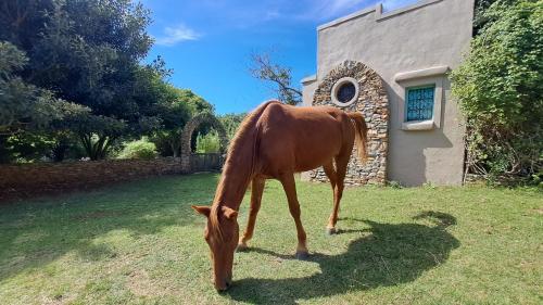 景觀, Akasha Mountain Retreat, new location in 里弗斯