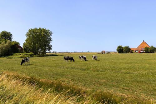 Ümbrus, Knus appartement aan het water in Jorwert in Mantgum