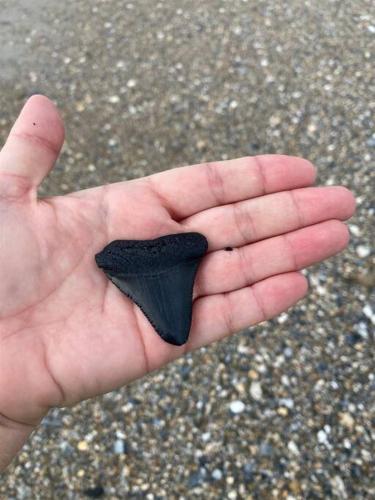 LilTipSea on Topsail - Close to the sound and beach! in Topsail Beach, USA