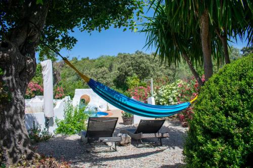Garden, Quinta Alcarias in Santa Catarina