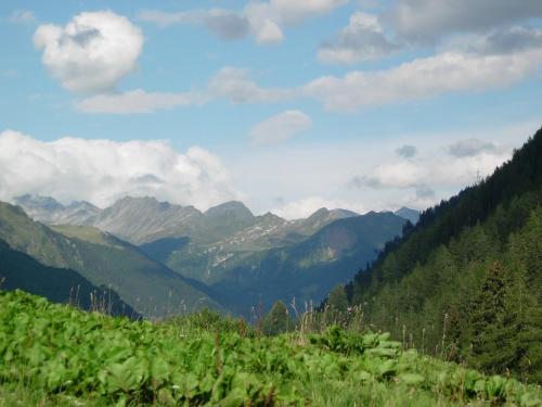 Apartment Verena by Interhome in Bedretto