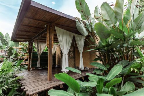 Massage, Viga Vieja in El Arenillo