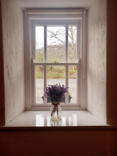 Eddie's Thatched Roadside Cottage in Inishowen