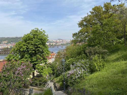 Apartment Chez L'Artiste by Interhome