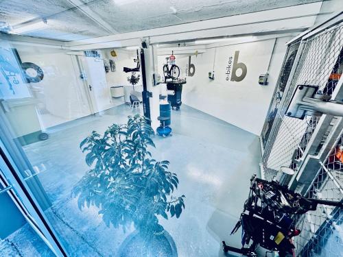 Bed and Breakfast Olten - image 7