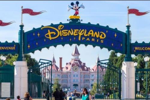 Charmant studio coup de cœur Disney - Location saisonnière - La Ferté-sous-Jouarre