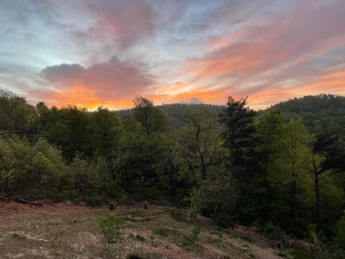 Mtn Views-firepit-dogs-coffeetea Bar-kingbeds in Dysartsville, USA