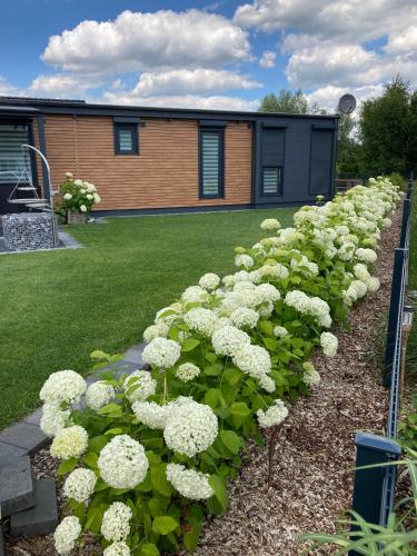 Seepark Cox - a50080 - image 13