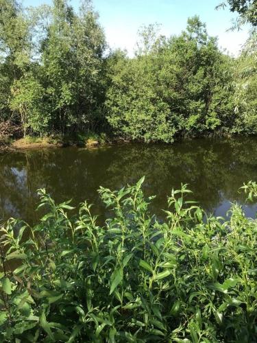 Seepark Cox 5.8km von Goch entfernt