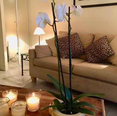 A charming apartment in the heart of the French Riviera