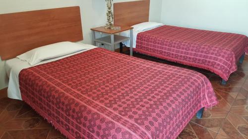 Classic Single Room image 4