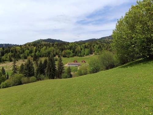 Cabane Areama Neagra in Marosfő