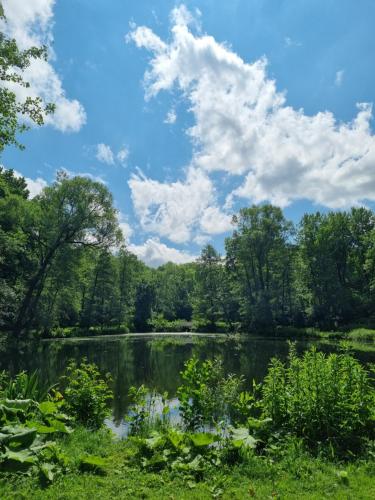Appartement Sternenblick
