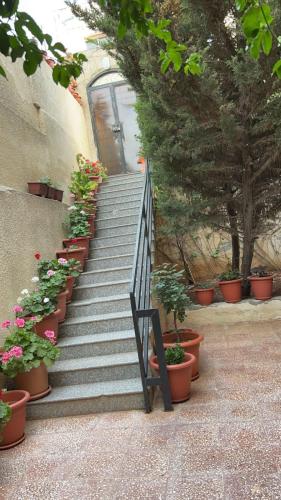 شقه مفروشه مع حديقه اربد بجانب فندق فلامنجو ومدارس دار العلوم, Irbid (fotografie 6)