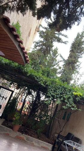 شقه مفروشه مع حديقه اربد بجانب فندق فلامنجو ومدارس دار العلوم, Irbid (fotografie 4)