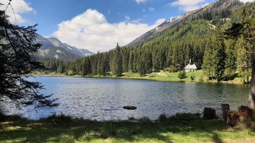 Haus am Ring Haus am Ring