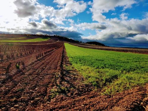 Casa Rural La Matilla Casa Rural La Matilla