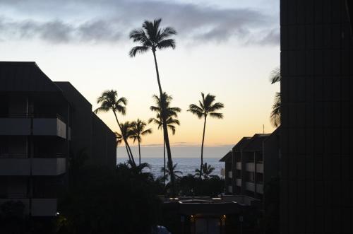 White Sands Village 127