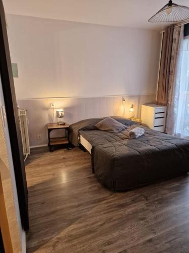 Appartement cosy côte d'émeraude - Location saisonnière - La Richardais