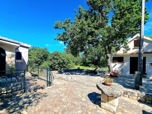 Relaxing Dalmatian house in village