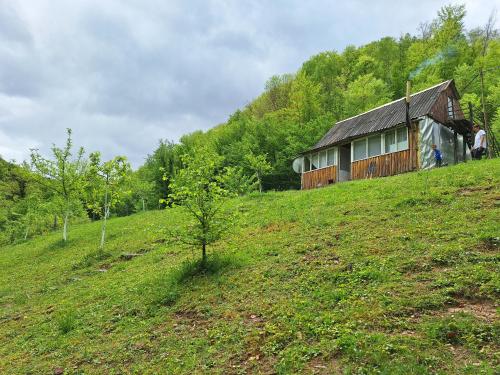 Viesnīcas āriene, Country house Tara Orasac in Durdevica Tara