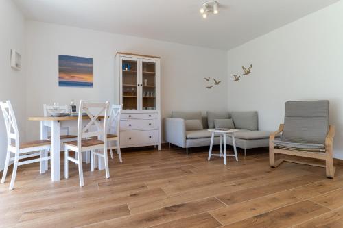 Kleine Robbe in St. Peter-Ording, Deutschland