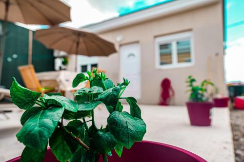 Villa Corneille in Σεντ-Λούις