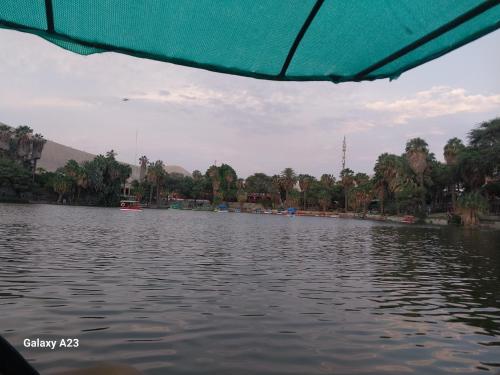 Ferdinand in ย่านทางเหนือ