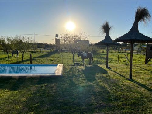 Ikigai in 康塞普西翁-德爾-烏拉圭