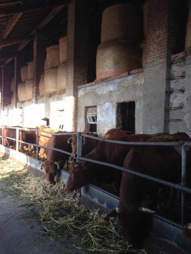 Cascina Battivacco - image 3