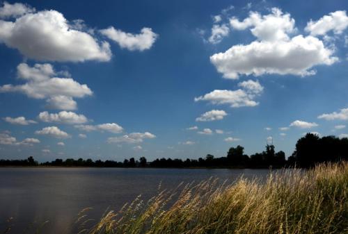 Cascina Battivacco - image 14