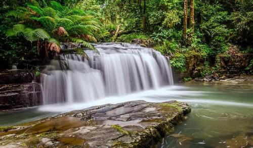 Narrow Neck - Blissful hideaway